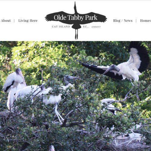 Olde Tabby Park : Cat Island, SC Community | PickleJuice Productions
