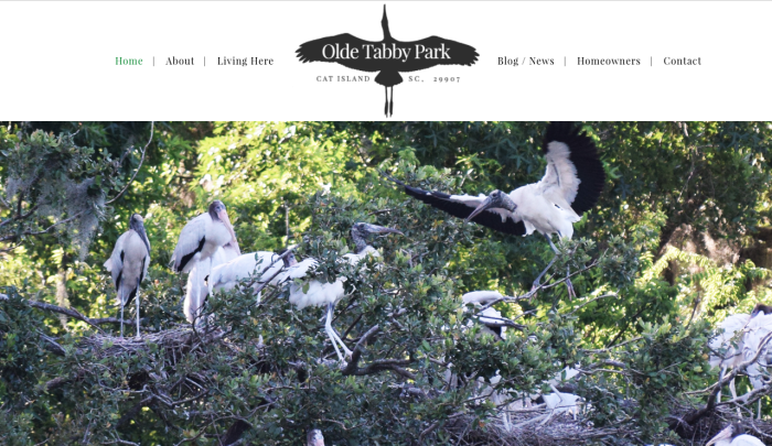 Olde Tabby Park : Cat Island, SC Community | PickleJuice Productions